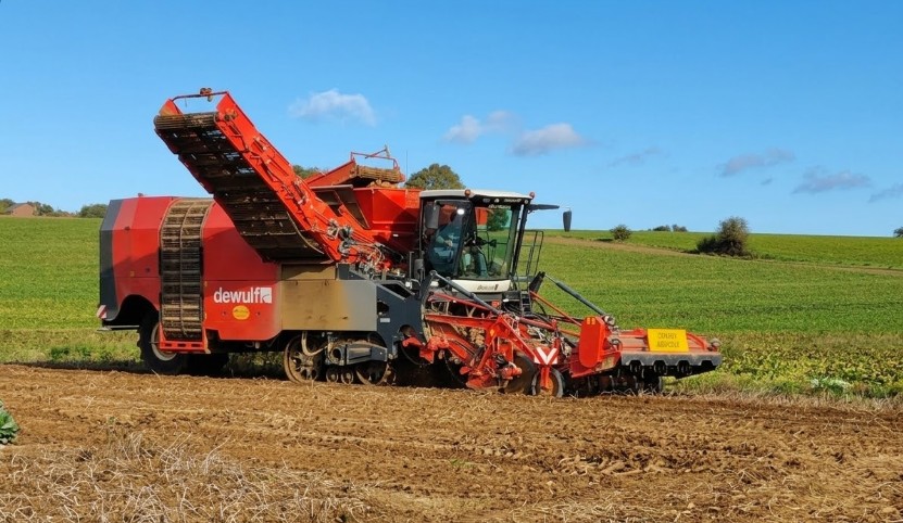 Récolte de pommes de terre GTL